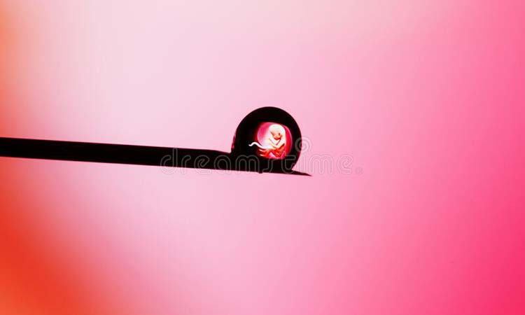 IVF Cost in Madanapalle: Test Tube Baby Cost in Madanapalle, Low-Cost IVF Centres in Madanapalle