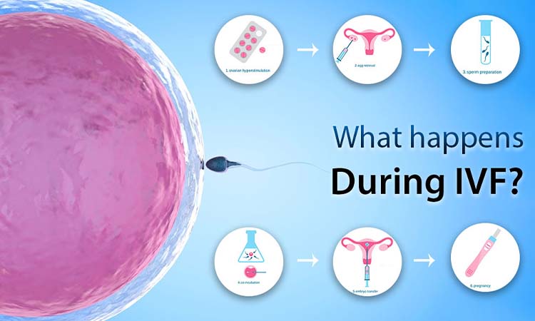 IVF Cost in Patiala: Test Tube Baby Cost in Patiala, Low-cost IVF Centres in Patiala