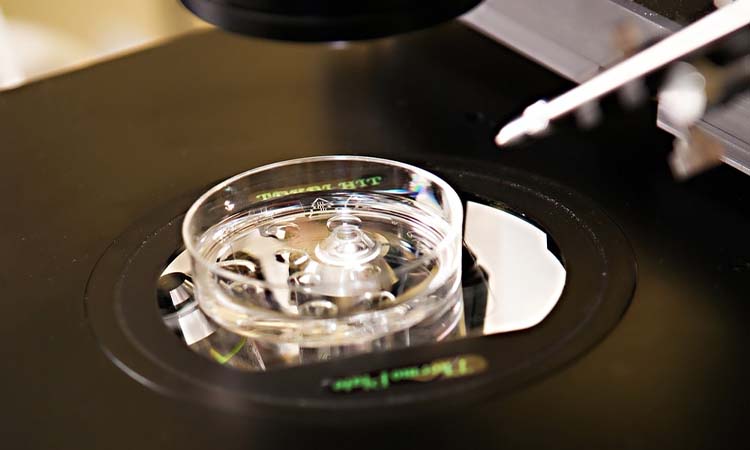 Best IVF Centres in Betul, Madhya Pradesh, Cost of IVF in Betul, Madhya Pradesh