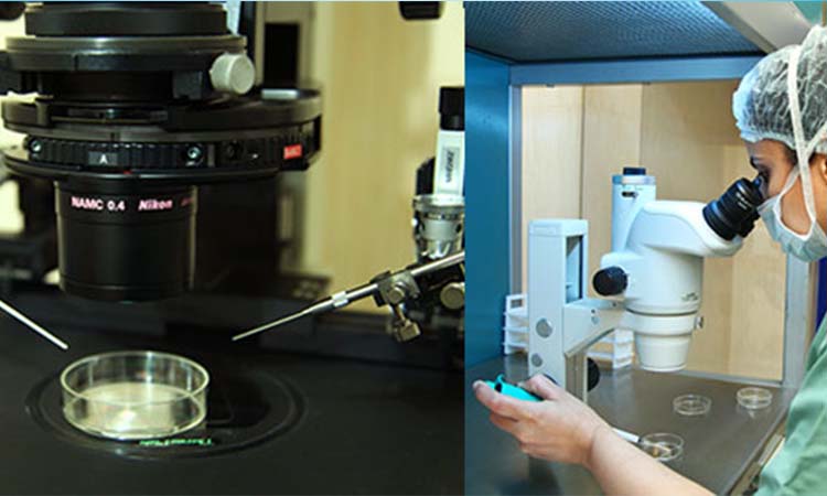 IVF Cost in Mangalagiri: Test Tube Baby Cost in Mangalagiri, Low-Cost IVF Centres in Mangalagiri