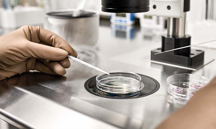 IVF Cost in Chandigarh: Test Tube Baby Cost in Chandigarh, Low-cost IVF Centres in Chandigarh