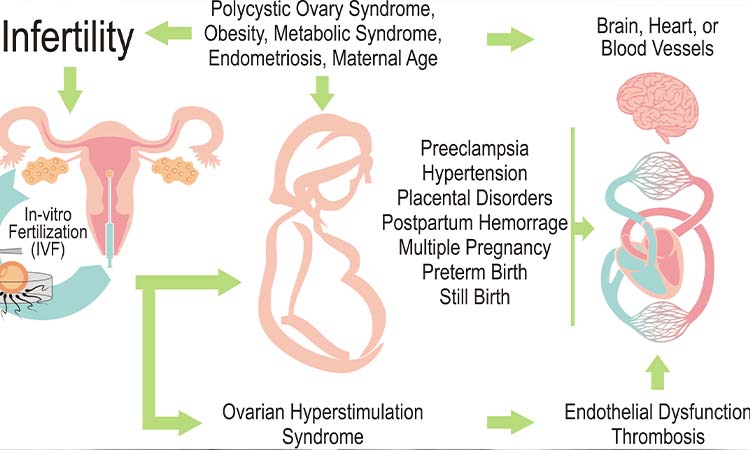 IVF Cost in Patna: Test Tube Baby Cost in Patna, Low-cost IVF Centres in Patna