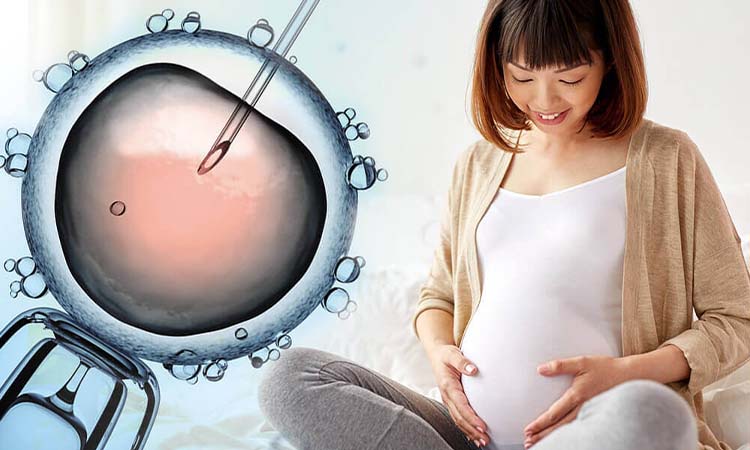 Best IVF Centres and IVF Cost in Phagwara, Punjab