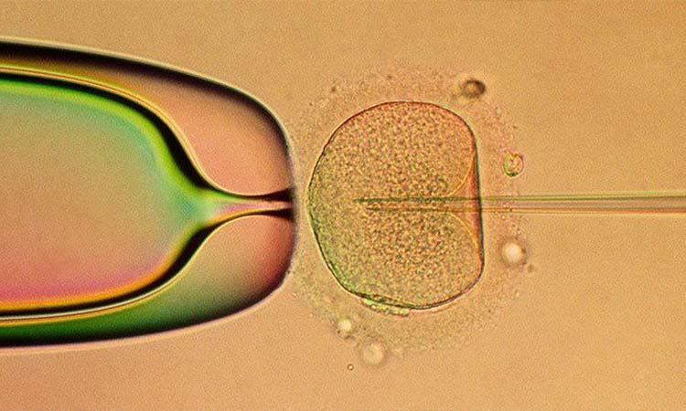 Top 10 Best IVF Centres in Ahmedabad, Gujarat with High Success Rate 2021