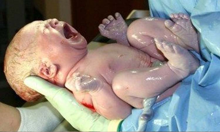 IVF Cost in Narasaraopet: Test Tube Baby Cost in Narasaraopet, Low-Cost IVF Centres in Narasaraopet