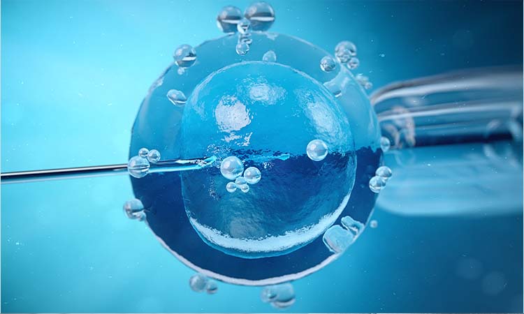 IVF Cost in Roorkee: Test Tube Baby Cost in Roorkee, Low-cost IVF Centres in Roorkee