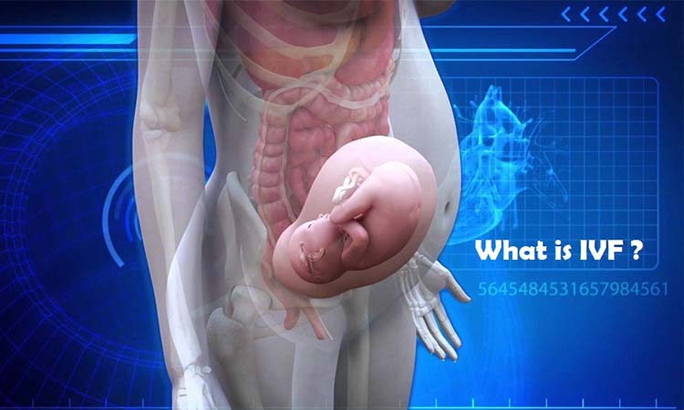 Best IVF Centres in Bhagalpur, Bihar, Cost of IVF in Bhagalpur, Bihar