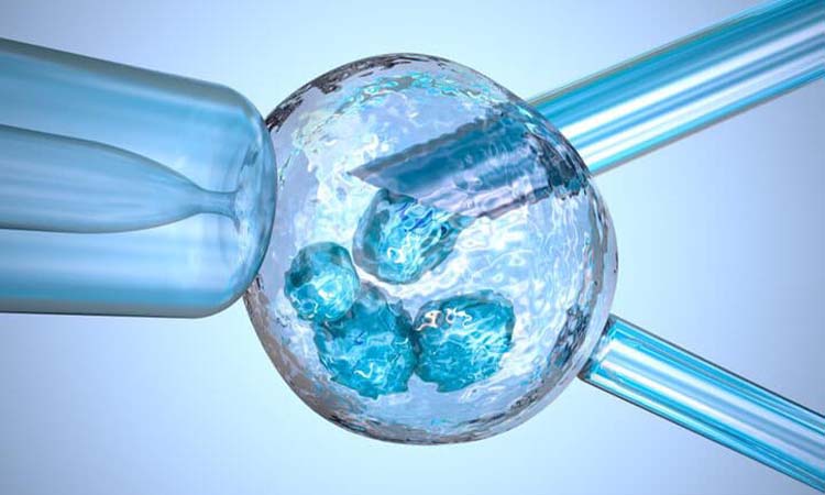 IVF Cost in Etawah: Test Tube Baby Cost in Etawah, Low-cost IVF Centres in Etawah