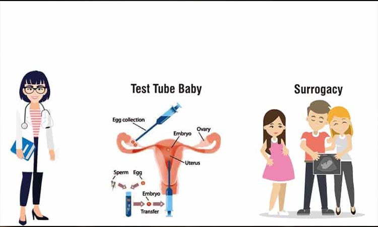 IVF Cost in Pudukkottai: Test Tube Baby Cost in Pudukkottai, Low-cost IVF Centres in Pudukkottai