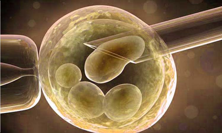IVF Cost in Rajamahendravaram: Test Tube Baby Cost in Rajamahendravaram, Low-Cost IVF Centres in Rajamahendravaram
