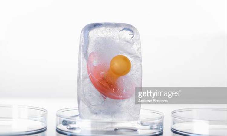 IVF Cost in Georgia: Test Tube Baby Cost in Georgia, Low-cost IVF Clinics in Georgia