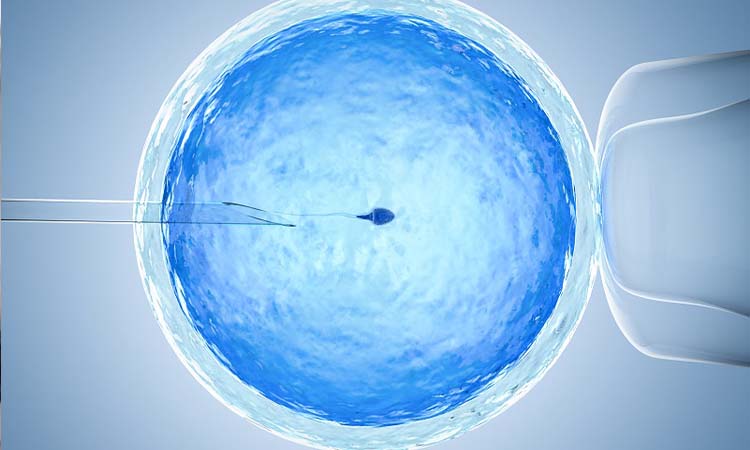 IVF Cost in Ranebennuru: Test Tube Baby Cost in Ranebennuru, Low-cost IVF Centres in Ranebennuru