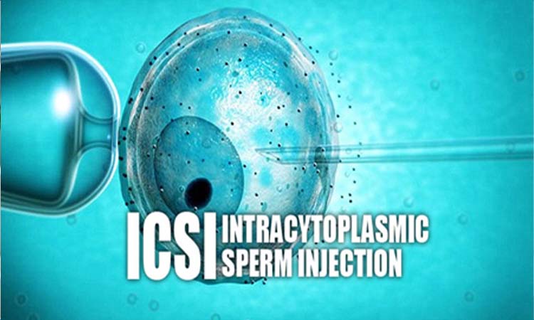 IVF Cost in Thane: Test Tube Baby Cost in Thane, Low-cost IVF Centres in Thane