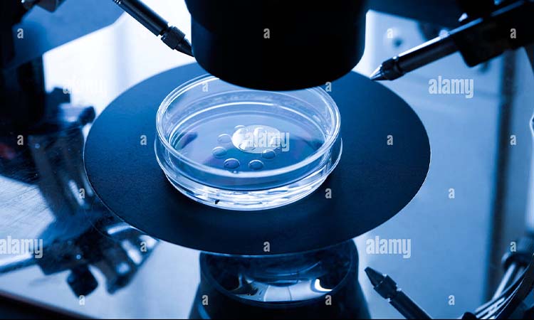 IVF Cost in Srikakulam: Test Tube Baby Cost in Srikakulam, Low-Cost IVF Centres in Srikakulam