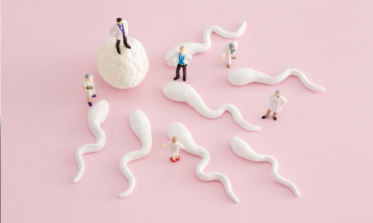 IVF Cost in Tiruchirappalli: Test Tube Baby Cost in  Tiruchirappalli, Low-Cost IVF Centres in  Tiruchirappalli