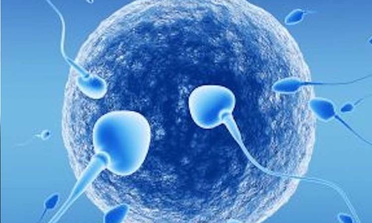 IVF Cost in Tirunelveli: Test Tube Baby Cost in Tirunelveli, Low-cost IVF Centres in Tirunelveli