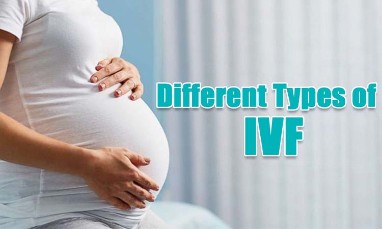 IVF Cost in Udaipur: Test Tube Baby Cost in Udaipur, Low-cost IVF Centres in Udaipur