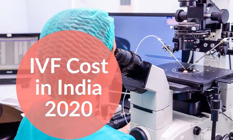 How Much Does it Cost for IVF in Pune India