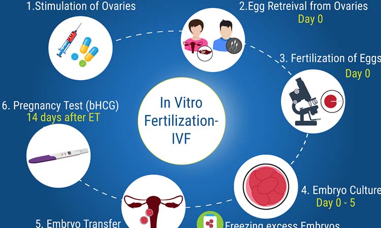 How Much Does it Cost for IVF in Nagpur India