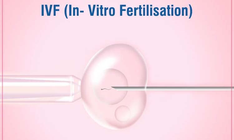 Best IVF Centres and IVF Cost in Barnala, Punjab